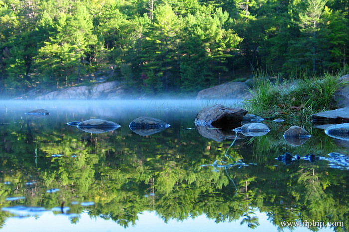 2003_killarney16 Cranberry Bog Trail - 近观Killarney的美丽